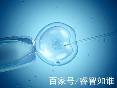 人工孕妈代怀咨询联系电话